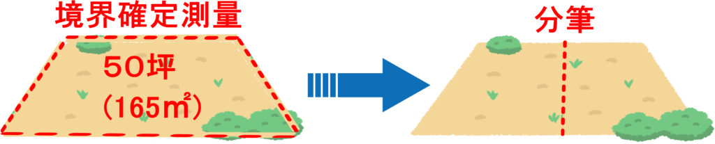 ５０坪の土地の境界確定測量と分筆登記